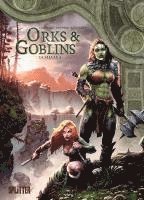 bokomslag Orks & Goblins. Band 14
