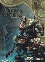 bokomslag Orks & Goblins. Band 15