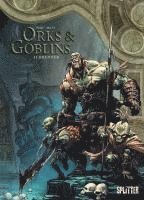 Orks & Goblins. Band 15 1