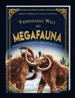 bokomslag Verborgene Welt der Megafauna