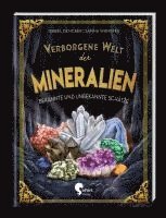 Isabel Dencker - Verborgene Welt der Mineralien, Inbunden