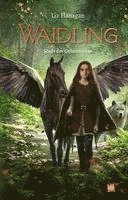 Waidling (Band 2): Stadt der Geheimnisse 1