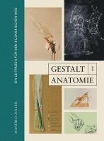 bokomslag Gestalt und Anatomie