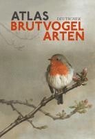 bokomslag Atlas Deutscher Brutvogelarten (ADEBAR)