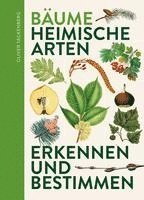 Oliver Tackenberg - Bäume, Häftad