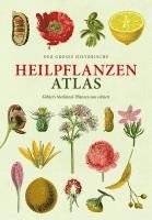 bokomslag Der große Heilpflanzen-Atlas