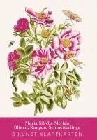 bokomslag Maria Sibylla Merian - Acht Kunst-Klappkarten