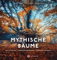 Ursula Stumpf, Vera Zingsem, Andreas Hase - Mythische Bäume, Inbunden