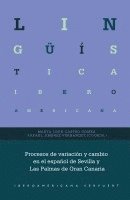 bokomslag Procesos de variación y cambio en el español de Sevilla y Las Palmas de Gran Canaria