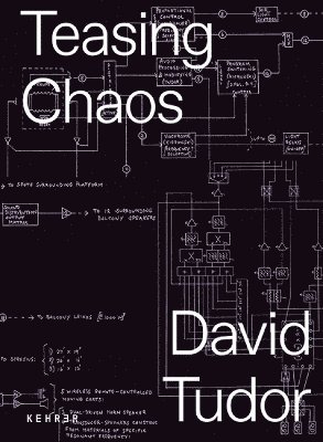 bokomslag Teasing Chaos