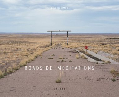 bokomslag Roadside Meditations