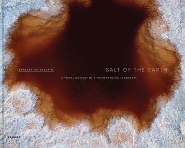 bokomslag Salt of the Earth