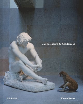 bokomslag Connoisseurs & Academies