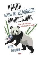 bokomslag »Panda« heißt auf Isländisch »Bambusbjörn«