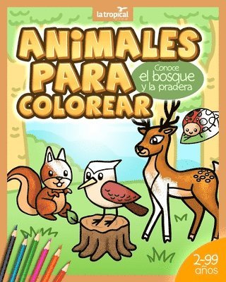 bokomslag Animales para Colorear. Conoce el bosque y la pradera