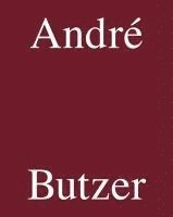 bokomslag Andre Butzer - Miettinen Collection
