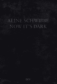 bokomslag Aline Schwibbe - Now It's Dark