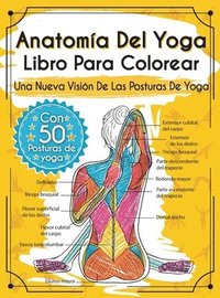 bokomslag Anatomía Del Yoga Libro Para Colorear