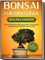 bokomslag Bonsai für Einsteiger - Das Praxisbuch: Wie Sie den für Sie richtigen Bonsai auswählen, aufziehen, zuschneiden und pflegen - inkl. der 10 besten Tipps für die Bonsaizucht