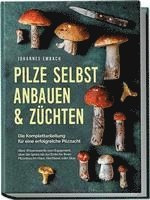 bokomslag Pilze selbst anbauen & züchten - Die Komplettanleitung für eine erfolgreiche Pilzzucht: Alles Wissenswerte vom Equipment, über die Spore bis zur Ernte für Ihren Pilzanbau im Haus, Hochbeet oder Glas