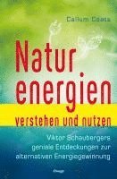 bokomslag Naturenergien verstehen und nutzen