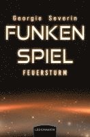 bokomslag Funkenspiel - Feuersturm