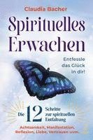 bokomslag Spirituelles Erwachen