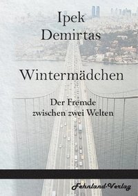 bokomslag Wintermdchen. Der Fremde zwischen zwei Welten