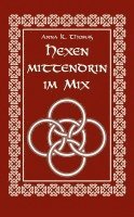 bokomslag Hexen Mittendrin im Mix