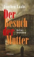 bokomslag Der Besuch der Mutter