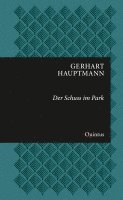 bokomslag Der Schuss im Park