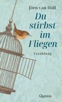 bokomslag Du stirbst im Fliegen