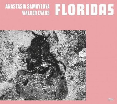 bokomslag Anastasia Samoylova, Walker Evans: Floridas