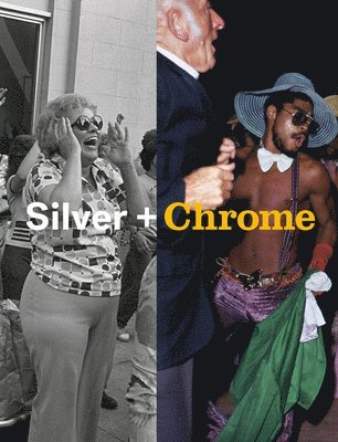 Mitch Epstein: Silver + Chrome 1