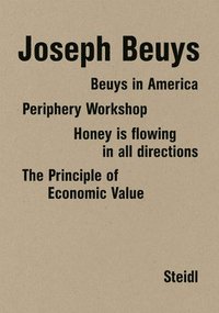 bokomslag Joseph Beuys: Four Books in a Box