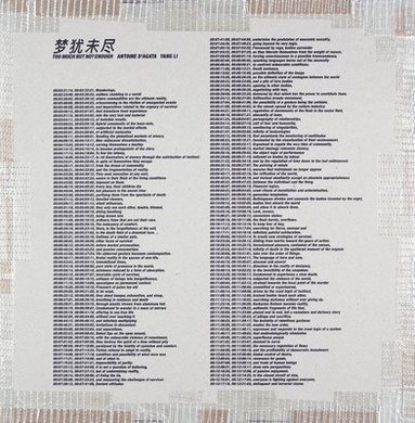 bokomslag Yang Li and Antoine d'Agata: Too Much But Not Enough