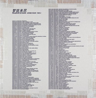Yang Li, Antoine d'Agata - Yang Li and Antoine d'Agata: Too Much But Not Enough, Häftad