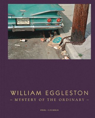 bokomslag William Eggleston: Mystery of the Ordinary