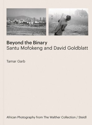 bokomslag Tamar Garb: Beyond the Binary