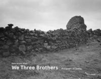 bokomslag Karel Jaromir Erben and Jan Jedlicka: We Three Brothers