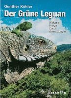 bokomslag Der Grüne Leguan