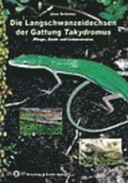 bokomslag Die Langschwanzeidechsen der Gattung Takydromus