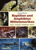 bokomslag Reptilien und Amphibien Mittelamerikas. (Bd. 1 )
