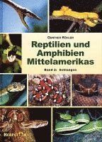 bokomslag Reptilien und Amphibien Mittelamerikas. (Bd. 2)