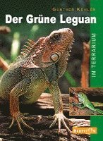 bokomslag Der Grüne Leguan im Terrarium