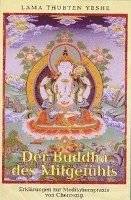 bokomslag Der Buddha des Mitgefühls