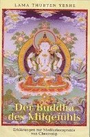 Lama Thubten Yeshe, Robina Courtin - Der Buddha des Mitgefühls, Häftad