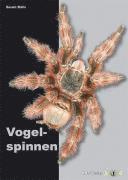 bokomslag Vogelspinnen