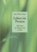 Anne Wilson Schaef - Leben im Prozess, Häftad