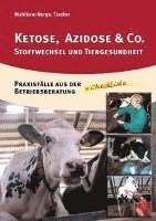 bokomslag Ketose, Azidose & Co.